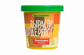 Набор для выращивания растений - Земляника ананасная (Зеленый Капитал, zk-038)